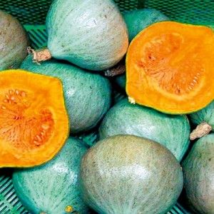 Zaden: pompoen blue ballet