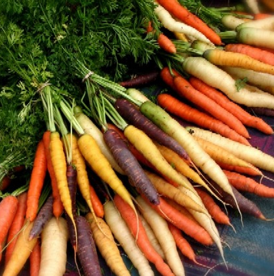 Semences: carottes en mélange