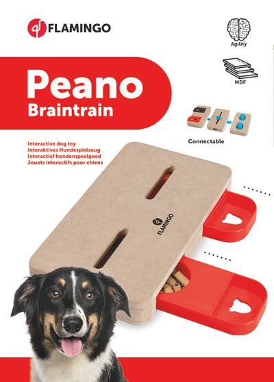 Wooden brain train peano 22x12cm