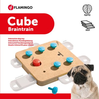 Doggy brain train cube 32x32x5cm