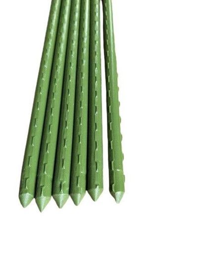 Tuteur de plantes 1 pièce