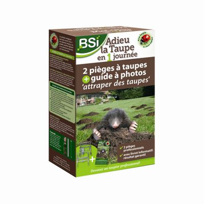 Mollenval Mol-weg in 1 dag