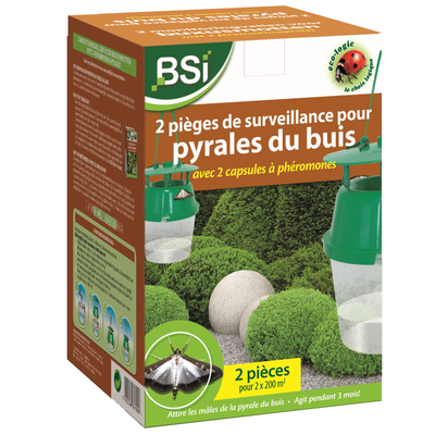 2 buxusmottenvallen en 2 feromooncapsules