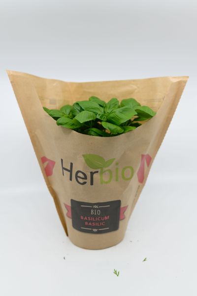 Basilicum herbio