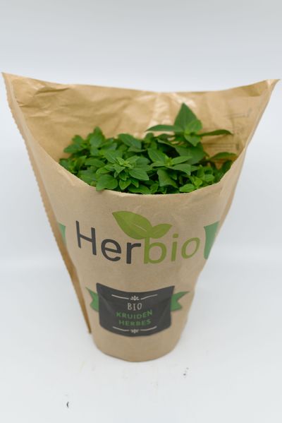 Basilicum fijn bio