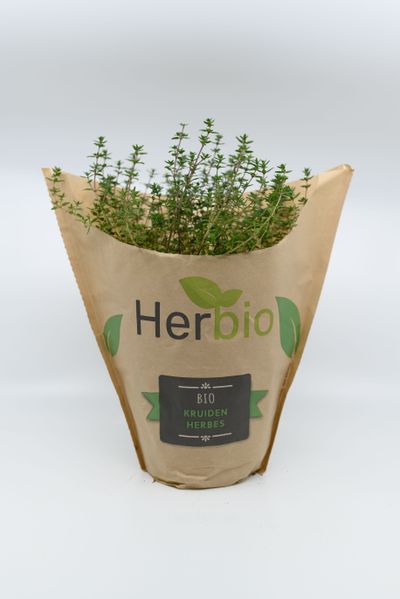 Tijm bio 