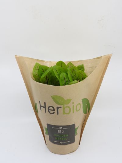  Zuring rood herbio
