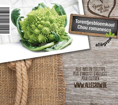 Brassica oleracea convar. botrytis var. Botrytis ( Chou Romanesco )
