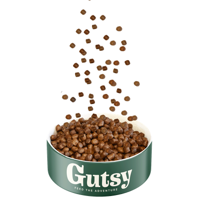 Poulet et insect 2kg petit adulte