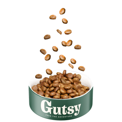 Poulet et insect 2kg grand adulte