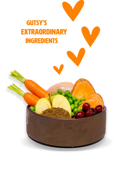 Poulet et insect 2kg grand adulte