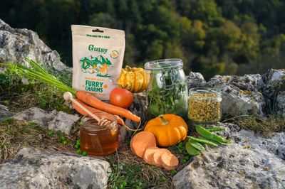 Friandise pour chien relaxation snack 100g