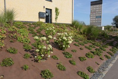 Tuindoek gold 1,15x10m 125g/m²