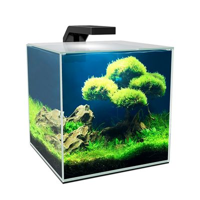 Aquarium cube 10 led