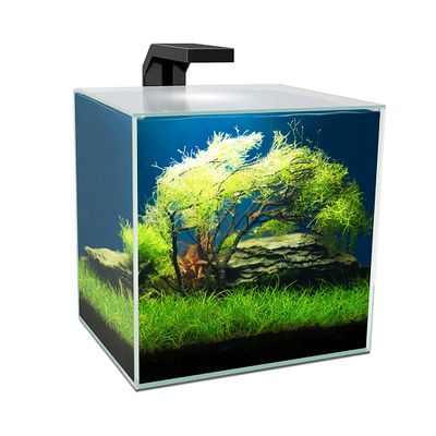Aquarium cube 15 led