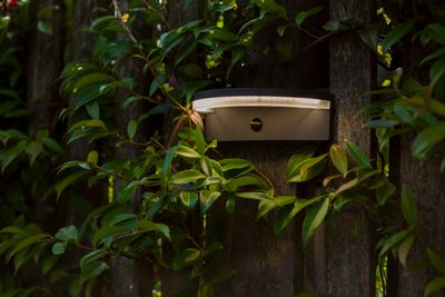 Vyzor solar wandlamp