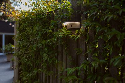 Vyzor solar wandlamp