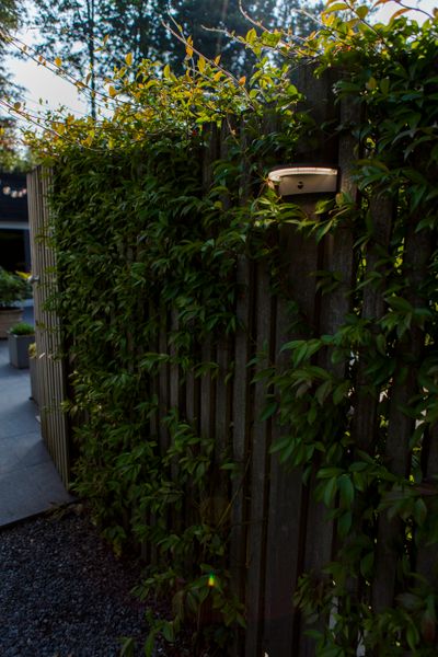 Vyzor solar wandlamp