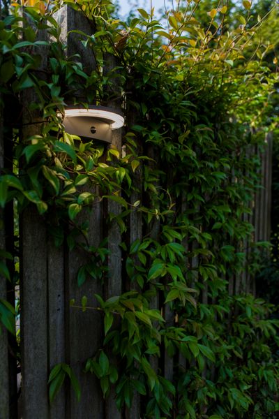 Vyzor solar wandlamp