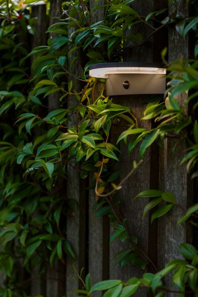 Vyzor solar wandlamp