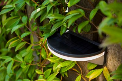 Vyzor solar wandlamp