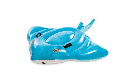 Stingray ride-on