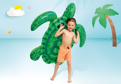 Ride-on lil'sea turtle