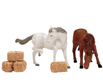 Feed for the horses, set of 6