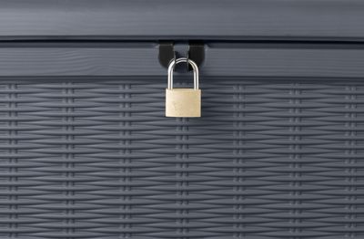 Coffre de rangement Borneo 416L