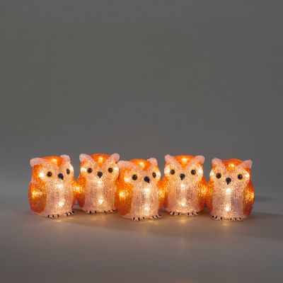 Lichtsnoer 5 acryl uilen 5m 40led warmwit voor buiten