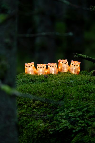 Lichtsnoer 5 acryl uilen 5m 40led warmwit voor buiten