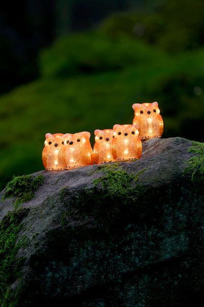 Lichtsnoer 5 acryl uilen 5m 40led warmwit voor buiten