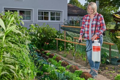 Druksproeier Hobby Star 5