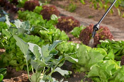 Druksproeier Hobby Star 5