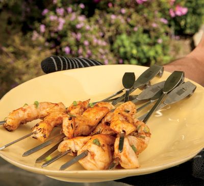 WEBER GRILLROOSTER EN SPIESENSET