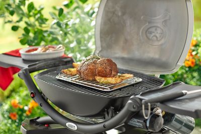 WEBER VERHOOGD GRILLROOSTER KLEIN