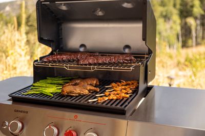 WEBER FLAVORIZER™ BARS VOOR SPIRIT™ 200 MODELLEN TOT 2012, GEËMAILLEERD STAAL