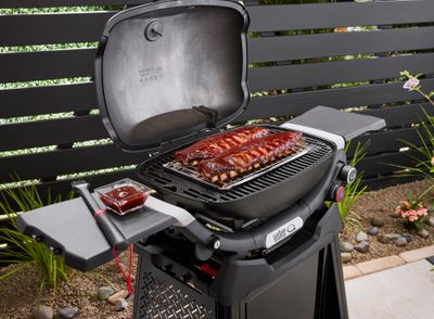 Barbecue au gaz Q2800N+ avec support fixe