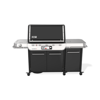 Gasbarbecue Summit FS38X E Smart