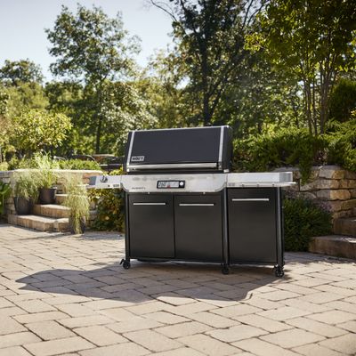 Gasbarbecue Summit FS38X E Smart