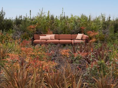 Maximo 5 terra/cannela Sunbrella