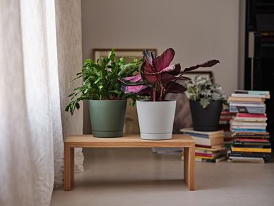 Pot de fleurs Orione 24cm vert forêt