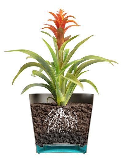 Pot de fleurs Orione 24cm blanc nuage