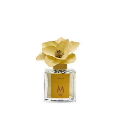 Magnolia diffuser 100ml grapes & figs