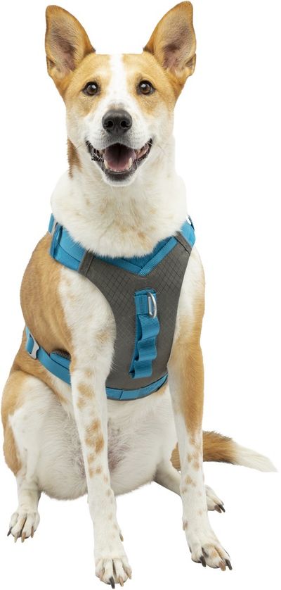 Harnas kurgo journey air tuigje bl-l