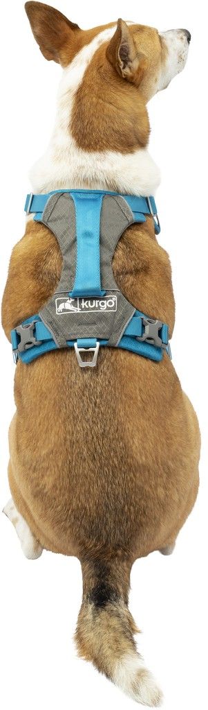 Harnas kurgo journey air tuigje bl-l