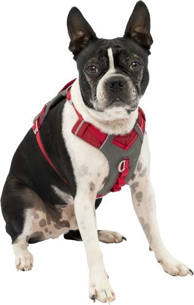 Harnais kurgo journey air  r-s