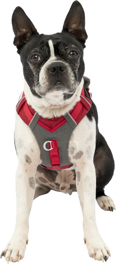 Harnais kurgo journey air  r-s