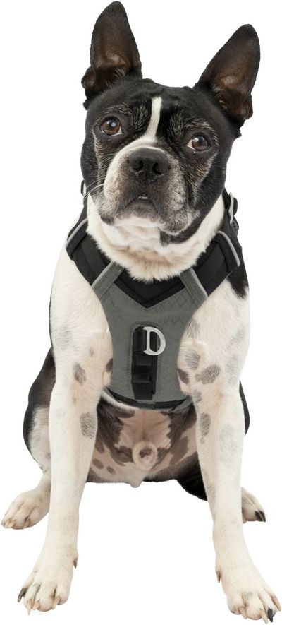 Harnas kurgo journey air tuigje -s