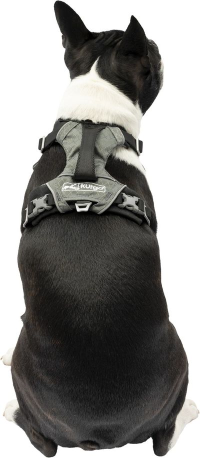 Harnas kurgo journey air tuigje -s